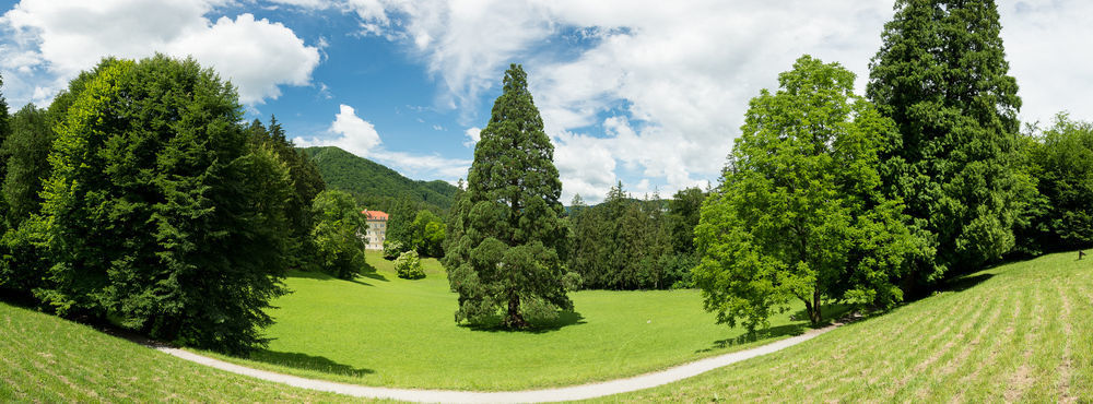 Rimske Terme - Hotel Zdraviliski Dvor Rimske Toplice Exteriör bild